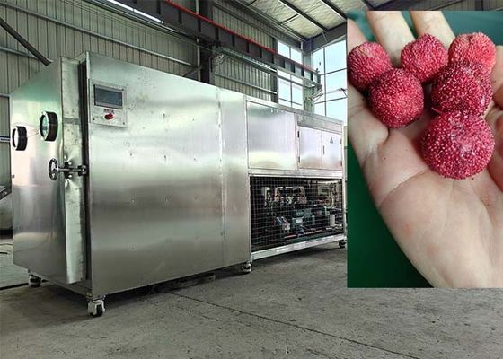 Mesin pengering beku vakum yang dikendalikan PLC 30-35kg/lomba