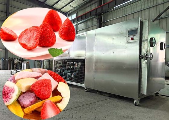 100kg/Lot Mesin beku kering Lyophilizer Dengan Kontrol PLC