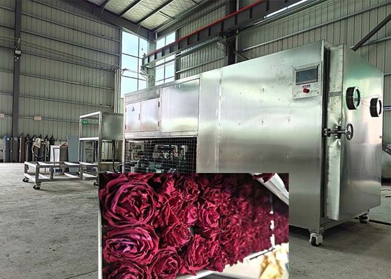 Mesin pengering beku industri besar untuk minuman dan farmasi