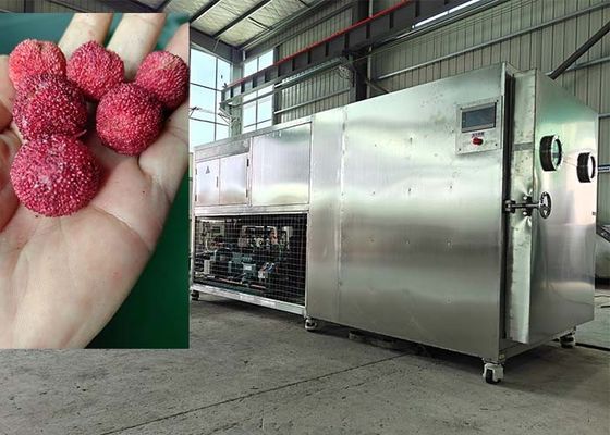 200KG Intelligent Food Lyophilizer Freeze Drying Machine
