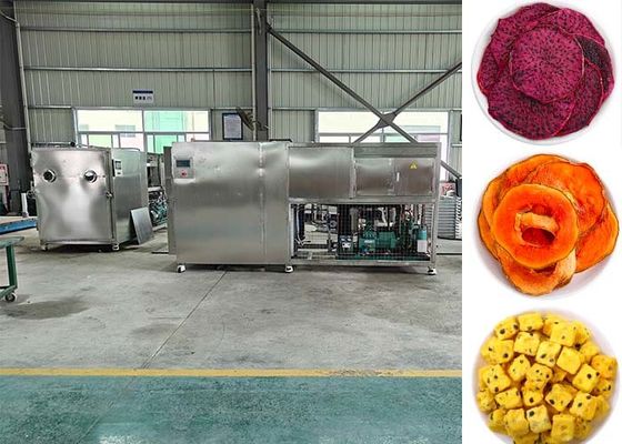 PLC dikendalikan buah cerdas beku pengering buah mesin