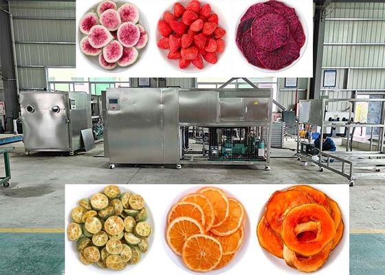 OEM / ODM Makanan Vacuum Freeze Dryer Pengalaman Performa Freeze Drying yang tak tertandingi