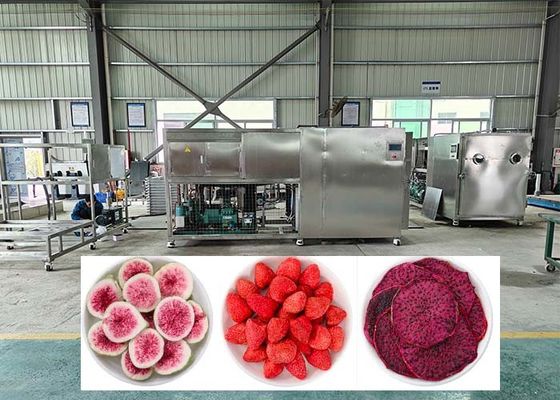 Efisiensi Professional Freeze Dehydrator Dengan Cold Trap -40°C