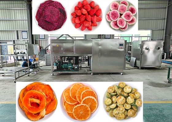 Vacuum 10Pa Freeze Dryer Lyophilizer Mesin Dengan Kontrol PLC