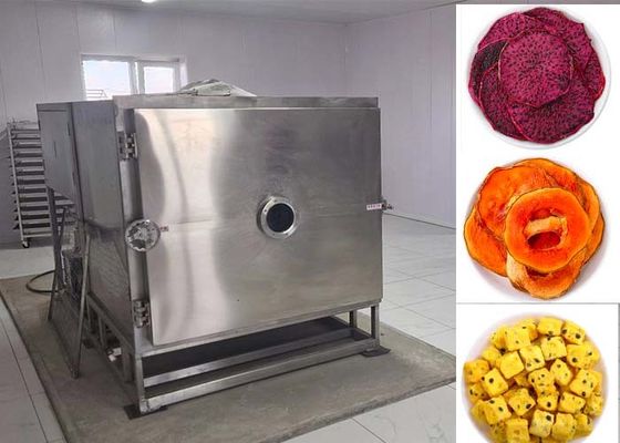 Mesin Pengering Sayur Dengan Freeze Cara Pengeringan Terbaik untuk Berbagai Sayur