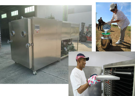 100Kg/Batch Kapasitas Vacuum Food Vegetable Freeze Dryer