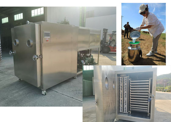 Kompak Desain Makanan Sayuran Freeze Dryer Dengan Baosi Atau Bitzer