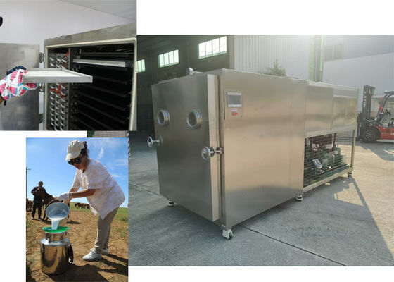 100Kg Kapasitas Sayuran Freeze Dryer Untuk Berbagai Jenis Sayuran