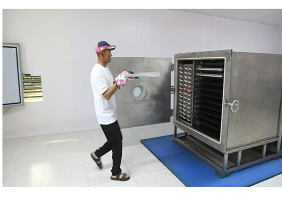 Mode Operasi Otomatis 100Kg Vegetable Freeze Dryer Untuk Pengeringan Cepat