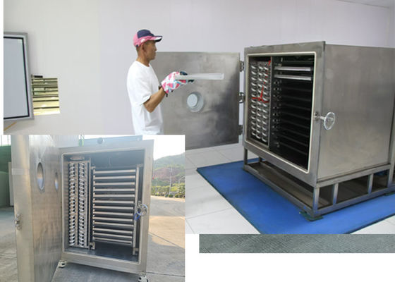 Sesuaikan Industri Sayuran Freeze Dryer Dengan Kapasitas 100KG