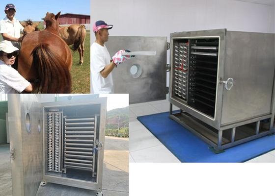 Vacuum Vegetable Freeze Dryer dengan  Refrigeration Unit