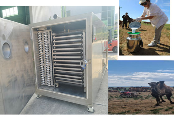 Desain kompak beku mesin buah kering dengan sistem pendingin Bitzer