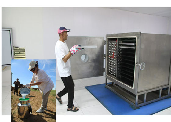 Air Dingin Makanan Freeze Dryer Dengan Leybold Sistem Pendingin