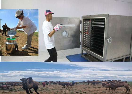 atau Leybold kompresor beku mesin buah kering