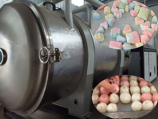 500kg Industri Makanan Freeze Dryer Lyophilizer Berskala Besar untuk Pengolahan Makanan