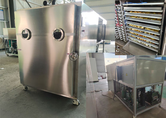 Industri Besar Makanan Vacuum Freeze Dryer Untuk Precision Freeze Drying