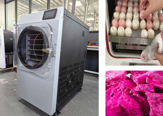 Sistem Kontrol PLC 304 stainless steel mesin pengering beku untuk penggunaan rumah