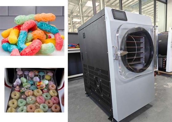 Tingkat Kebisingan Rendah Rumah Makanan Freeze Dryer Baja tahan karat Desain Ringan