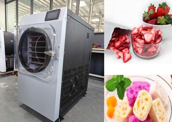 Sistem vakum Bitzer Pengering beku rumah kecil untuk industri farmasi
