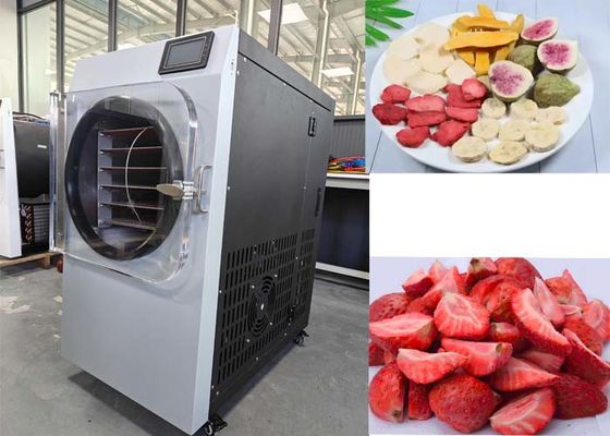 Low Noise Fast Drying Freeze Dryer Rumah Kecil Dengan Layar LCD