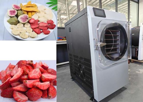 LCD Display Freeze Dryer Rumah Tangga Untuk Konservasi dan Penyimpanan Makanan Rumah Tangga