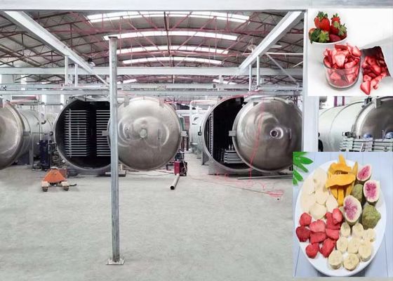 Pengering beku industri canggih dengan PLC dan sistem remote control
