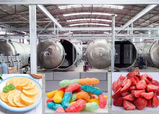 Farmasi 1000Kg Vacuum Freeze Dryer Mesin Teknologi Pengeringan Lanjutan