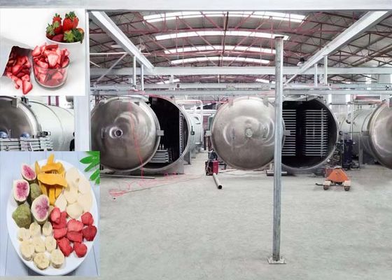 1000Kg Mesin pengering beku vakum yang kuat Penggunaan industri