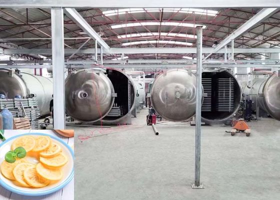 Mesin pengering beku industri besar Kapasitas 1000kg/lomba