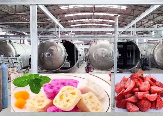 1000Kg Besar Freeze Dryer Untuk Cepat 20-24H Hasil Pengeringan yang Tepat