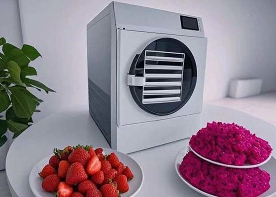 15KG 20kg Home Commercial Freeze Dry Machine Untuk Konservasi Makanan Jangka Panjang