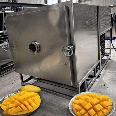 Mesin pengeringan beku buah-buahan sayuran Lyophilizer komersial 100KG Kapasitas