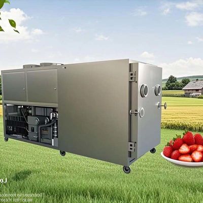 Heavy Duty Sayuran Buah Freeze Dryer Lyophilizer 380V Proses Freeze Drying