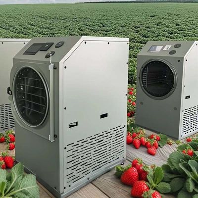 Freeze Dryer Lyophilizer Mesin 6KG 10KG 20KG Konservasi Makanan Rumah