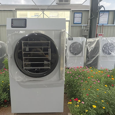 Teknologi Kompak Lanjutan 20kg Rumah Kecil Freeze Dryer Freshness Efisiensi Energi Mini Penggunaan Harian