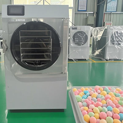 6 KG 10KG 20KG Quick Dry Freeze Dryer kecil untuk pengawetan makanan instan Menghemat ruang