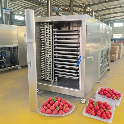 200kg Batch Freeze Dryer Kontrol Otomatis Untuk Dehidrasi Daging / Buah