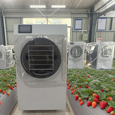 20kg Komersial kecil Freeze Dryer Kontrol Otomatis Untuk Kopi / Herbal Dehidrasi