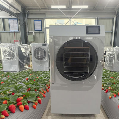 Pengering Beku Pilot 6kg R&D Untuk Produksi Batch Kecil Dengan PLC Layar Sentuh
