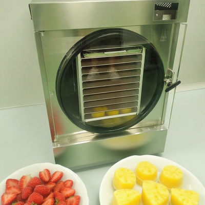 Lab Freeze Dryer dengan 304 SS Chamber & Bosch Vacuum - Lyophilizer presisi