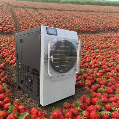 Pengering beku komersial dengan Baja Tahan Karat 304 & Pompa Bosch - Pengering Beku Efisiensi Tinggi