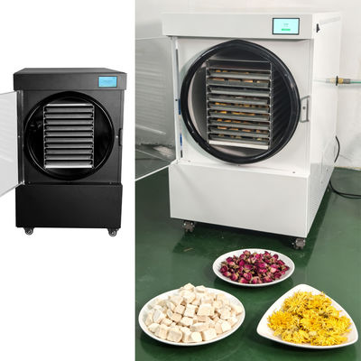 Pengering Beku Kecil 220V/50-60HZ Terbuat dari Baja Tahan Karat SUS304 untuk Pengeringan