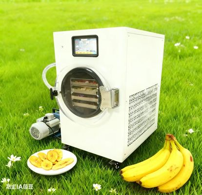 Mudah Di Rumah Freeze Dryer Simpan Panen Taman Anda Mudah Digunakan, Sempurna untuk Tukang Taman