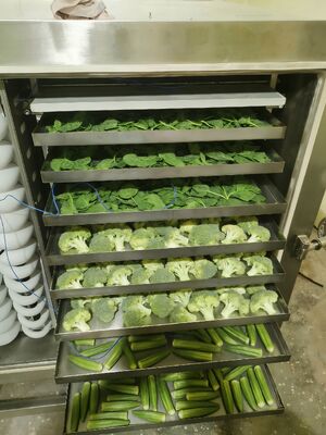 Pengering Beku Industri Pemanas Listrik Menawarkan Ukuran Ruang 12700x2600x3300mm dan Waktu Pengeringan 20 hingga 24 Jam Ideal untuk Industri