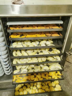 Unit Pendingin  Pengering Beku Daya Terukur 200KW Peralatan Pengering Beku untuk Industri Farmasi Makanan dan Kimia