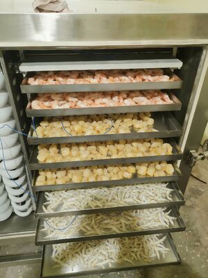 Pengering beku industri otomatis dengan kapasitas batch 1000kg ideal untuk pengawetan produk farmasi, makanan, dan kimia