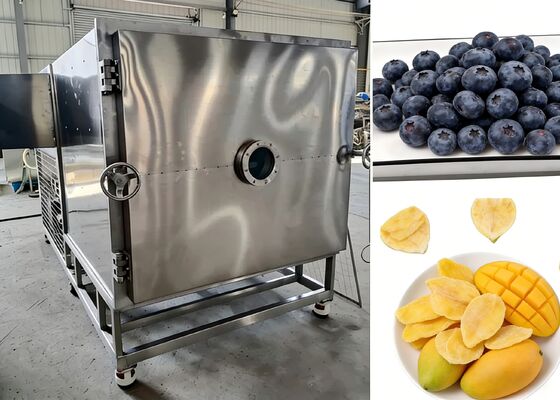 Freeze-drying Temperature minus 40 to 80 degrees Food Vacuum Freeze Dryer with Food-grade 304 Stainless Steel and Size 3800 1550 1850mm