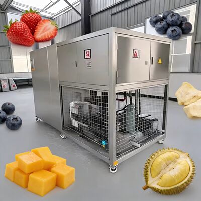 Bitzer Or Leybold Refrigeration System Food Vacuum Freeze Dryer Air Cooled Equipment for Food Freeze Drying and Storage