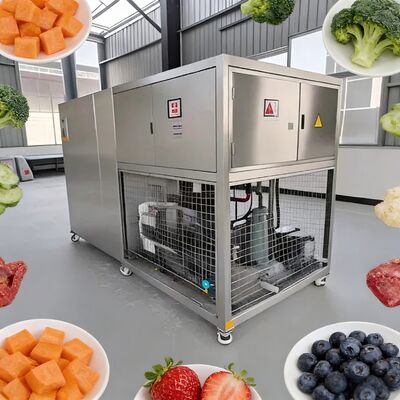 3800 1550 1850mm Sistem Kontrol PLC Pengering Beku Vakum Makanan Kapasitas 2600Kg Sempurna untuk Pengeringan Beku Makanan Skala Besar