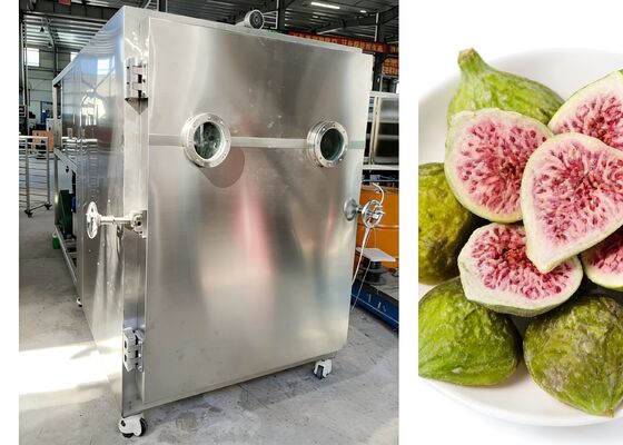 Tegangan 380V 50HZ 3PH Pengering beku vakum makanan dengan bahan makanan 304 stainless steel yang dirancang untuk menjaga kesegaran makanan